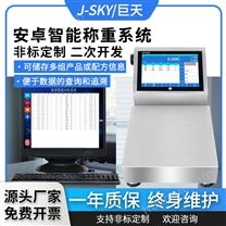 員工稱重配方配料秤高精度電子秤