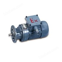 礦用隔爆三相異步電機(jī)
