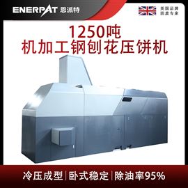 BM-12531恩派特1250噸機(jī)加工鋼刨花壓餅機(jī)