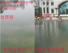 新景除藻剂人工湖水处理