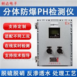 CD-PHG-800工業(yè)在線PH檢測儀污水檢測ORP儀帶溫補