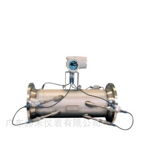 Sentinel LNG超声波 低温液体流量计