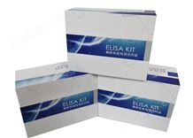JB1937-QT斑馬魚(yú)緩激肽(BK)ELISA試劑盒