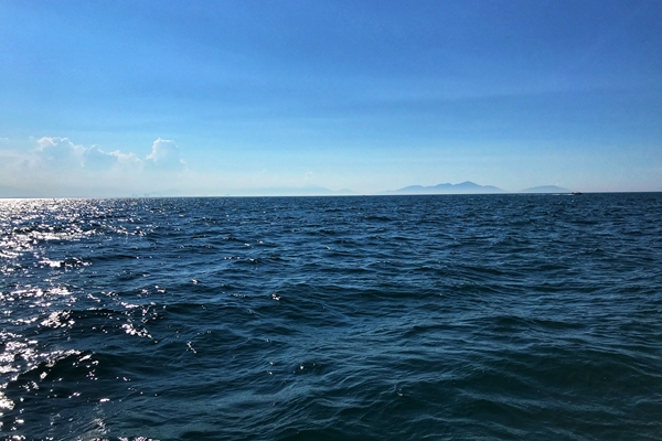 1.4億！廣東惠來縣城北區(qū)污水處理廠及配套管網(wǎng)工程EPC＋O評標(biāo)報告發(fā)布