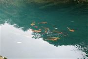 極限時速 湖南地下水監測鐵軍的“雙十二”