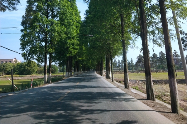 廣東地級市20億環(huán)衛(wèi)特許經(jīng)營項(xiàng)目采購需求公示