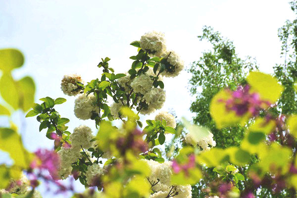 專家解讀：“揭榜掛帥”破局環(huán)保裝備創(chuàng)新瓶頸