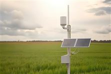 李強主持召開國務院常務會議 審議通過《生態(tài)環(huán)境監(jiān)測條例（草案）》