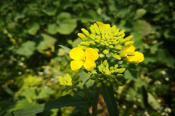 北京市機關(guān)事務(wù)管理局：中小型公共機構(gòu)“打包托管”節(jié)能降碳的成功實踐——以房山區(qū)為例