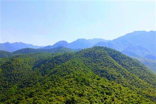 《四川省2025—2026年秋冬季大氣污染防治攻堅(jiān)行動(dòng)方案》解讀