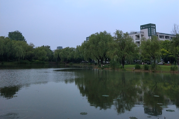 18.16億EOD項(xiàng)目招標(biāo)