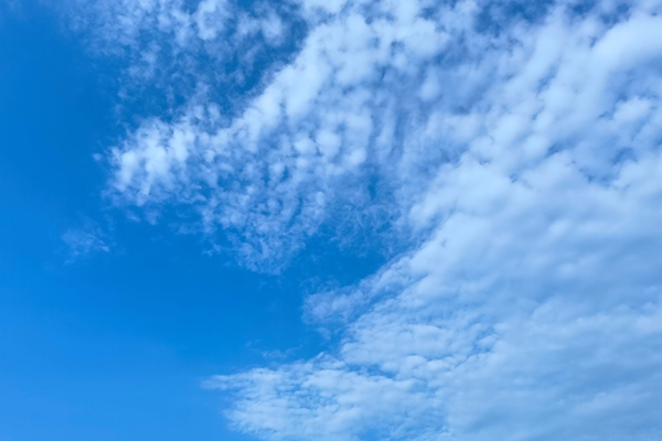 2560萬！中瑞工程設(shè)計(jì)院中標(biāo)西烏金山發(fā)電有限公司2×150MW機(jī)組脫硫除塵超低排放改造項(xiàng)目