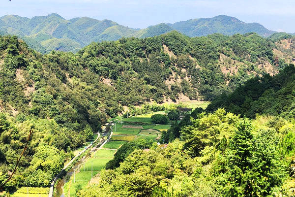 再調(diào)度、再安排、再部署，青海省開展固廢專項整治三年行動