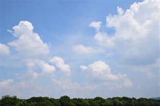 亳州市科学、精准、有效应对重污染天气提升大气污染防治水平