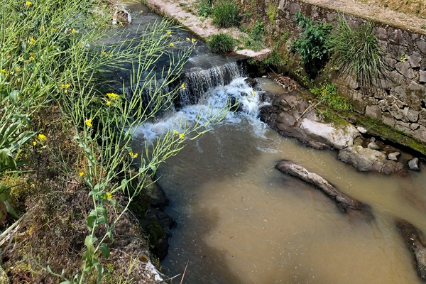 1亿污水项目开标:上海市政总院、中建八局等入围