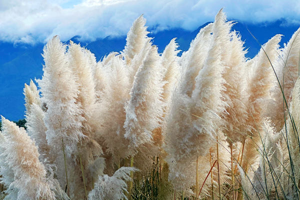 湖北試點碳市場2025年度重點排放單位名錄和報告名錄公示！