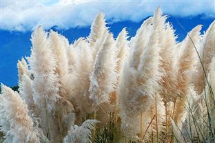 湖北试点碳市场2025年度重点排放单位名录和报告名录公示！