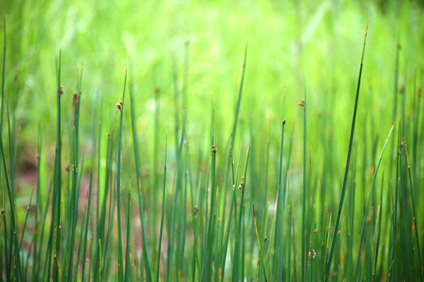 中國(guó)環(huán)境監(jiān)測(cè)總站與香港特別行政區(qū)政府環(huán)境保護(hù)署順利完成首次SRP計(jì)量比對(duì)