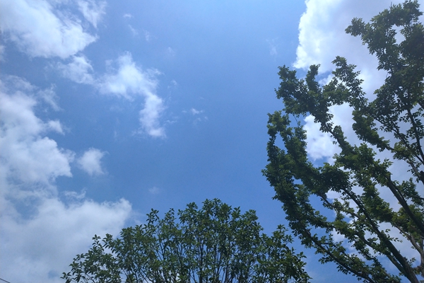 新疆金川熱電超低排放改造工程EPC總承包二次中標(biāo)候選人公示