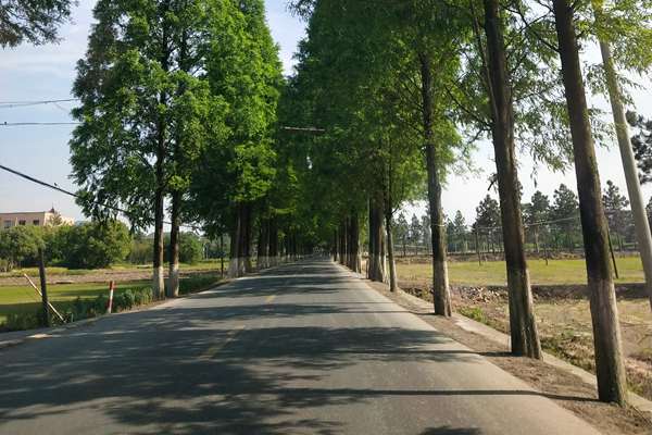 氧含量不參與折算需不需要監(jiān)測(cè)？有組織廢氣實(shí)測(cè)濃度如何折算成排放濃度……解答來了→