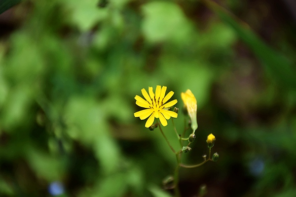 生态环境部固体废物与化学品管理技术中心2026年博士后研究人员招收中！
