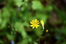 生態(tài)環(huán)境部固體廢物與化學(xué)品管理技術(shù)中心2026年博士后研究人員招收中！