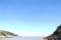 开展氢能综合应用试点工作，通知来了！