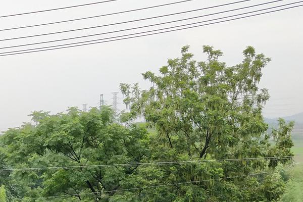 生态环境部承接多个科技研发专项取得突破