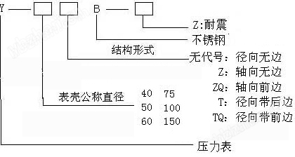軸向帶邊不銹鋼耐震壓力表