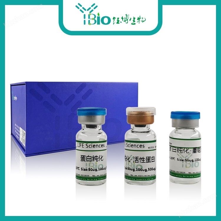Protein sốc nhiệt 47 (HSP47) Kháng thể đơn dòng