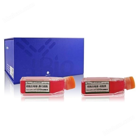 THP-1細(xì)胞-上海鈺博