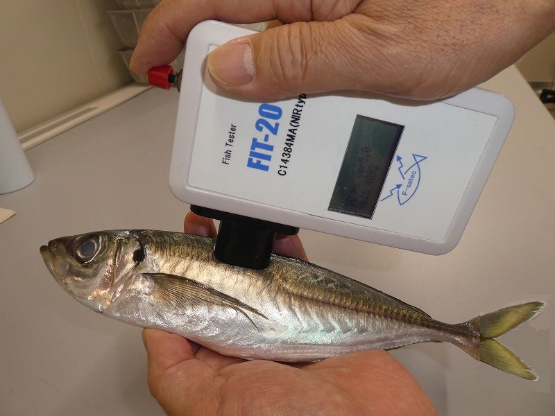 6ae23afc3edd76f787f06e7bb820b833_s-P1010008-1.jpg 6ae23afc3edd76f787f06e7bb820b833_s-P1010008-1.jpg