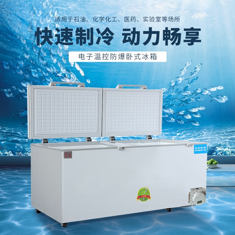 防爆冰箱異常噪音的原因及維護方法