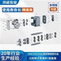 防爆變頻多規(guī)格不銹鋼凸輪轉(zhuǎn)子泵廠家