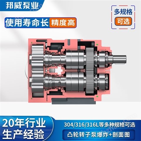 定制V型通用型等不同結(jié)構(gòu)凸輪轉(zhuǎn)子泵廠家