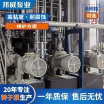 自動(dòng)伺服雙頭不銹鋼轉(zhuǎn)子泵灌裝機(jī)廠家