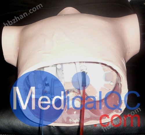 美國RSD RS-1500動(dòng)態(tài)呼吸模體