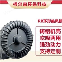 RB-077高壓漩渦風(fēng)機低能耗旋渦氣泵工業(yè)環(huán)形鼓風(fēng)機