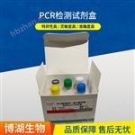 質(zhì)粒小量快速提取試劑盒