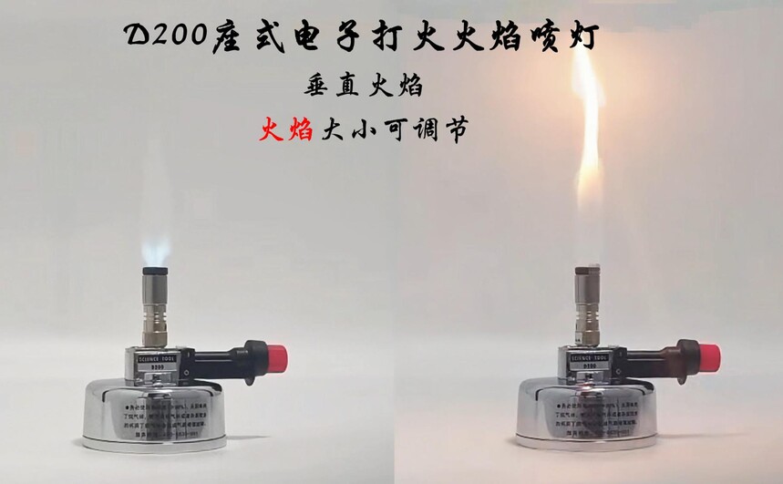 D220实验室电子本生灯